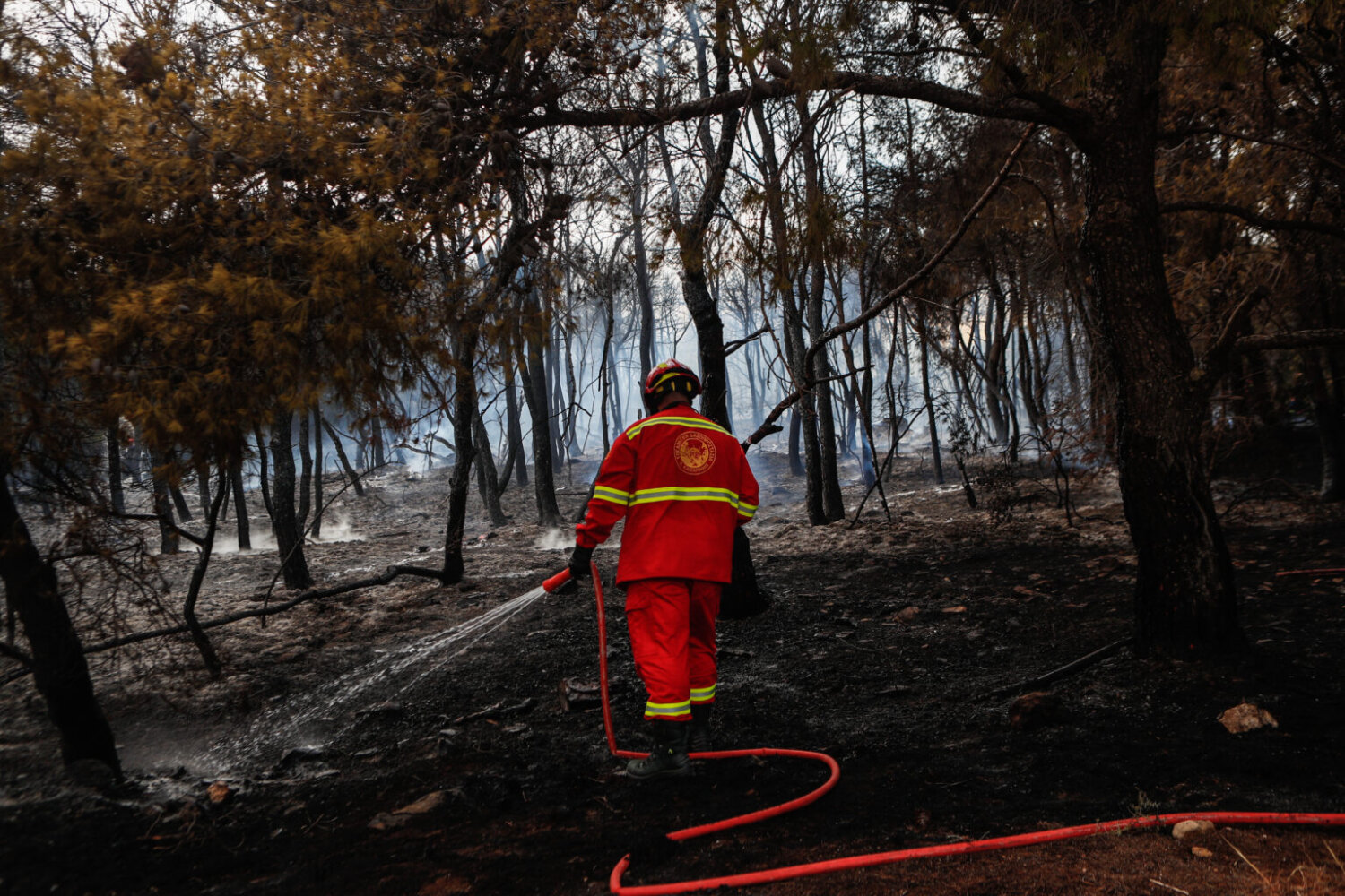 Πυροσβεστική: 47 αγροτοδασικές πυρκαγιές το τελευταίο 24ωρο