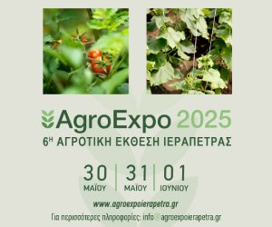 Αχαΐα: Πιλοτική εφαρμογή γεωργίας ακριβείας σε ελαιώνα στο Χαϊκάλι