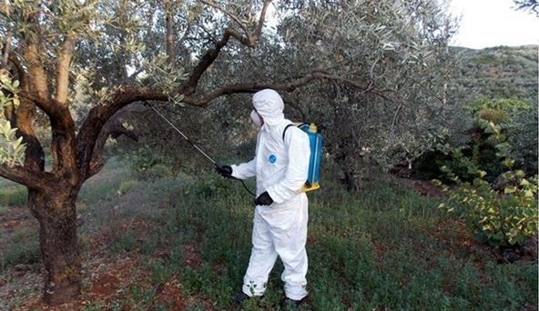 Διενέργεια 4ου Γενικού και 1ου Μερικού Δολωματικού Ψεκασμού στους Δήμους Αγιάς, Τεμπών και Ελασσόνας