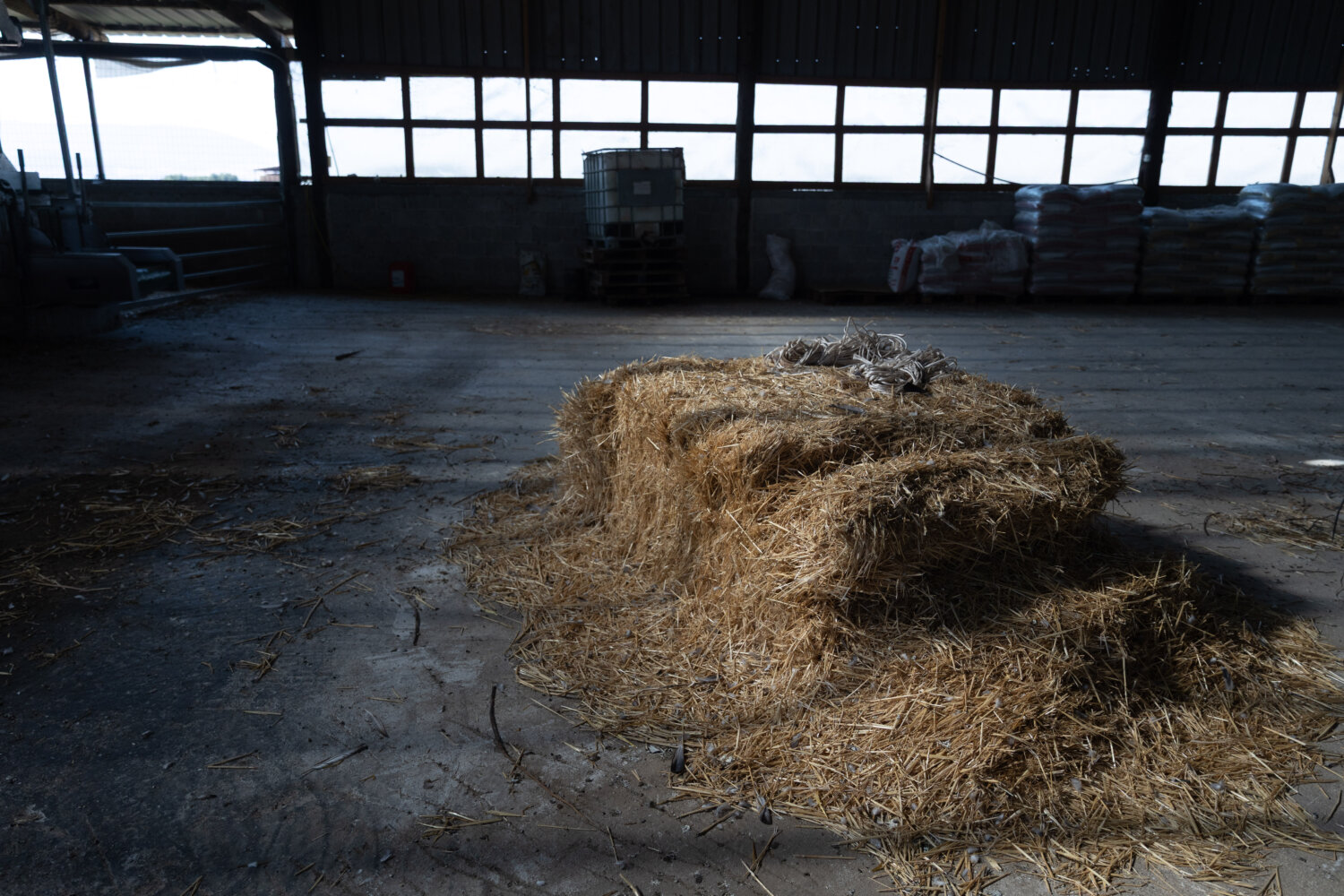 “SOS” εκπέμπουν οι κτηνοτρόφοι – Οδοιπορικό της larissanet σε μονάδα εκτροφής προβάτων του Δήμου Κιλελέρ (φωτ.)