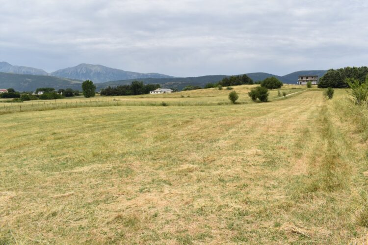 Αγροτεμάχια έως 20 στρέμματα χωρίς ΚΑΕΚ μπορούν να πληρωθούν, σύμφωνα με νέα εγκύκλιο