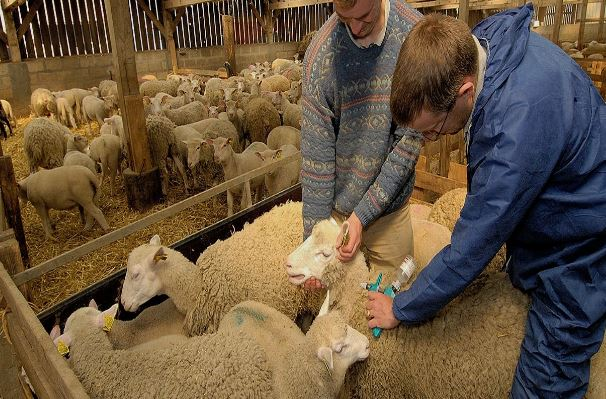 ΕΕΕΔΕΕ: Ο εμβολιασμός δεν αίρει την ανάγκη για αυστηρή εφαρμογή των μέτρων βιοασφάλειας, ούτε συνεπάγεται αυτόματη λήξη της επιδημίας ή άμεση άρση των περιορισμών