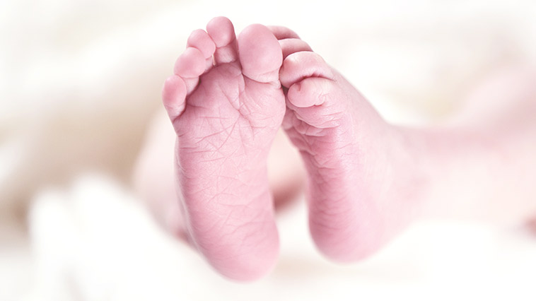 Αμαλιάδα: Νέα αποκάλυψη για τους θανάτους των βρεφών – Εύρημα δείχνει ασφυξία