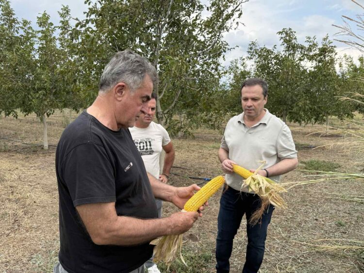 Αυτοψία Λιούτα, στις πληγείσες από τη χαλαζόπτωση περιοχές του Δ.Τρικκαίων