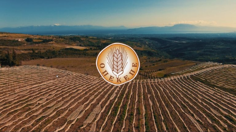 Συνολικά 555.054 δηλώσεις ΟΣΔΕ έχουν υποβληθεί έως σήμερα