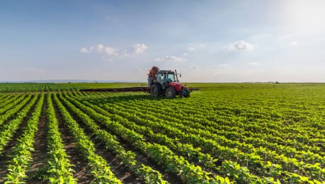 Στην τελική ευθεία οι έρευνες για τον ΟΠΕΚΕΠΕ: Στο στόχαστρο 3 εγκληματικές οργανώσεις σε Κρήτη, Κοζάνη και Τρίκαλα