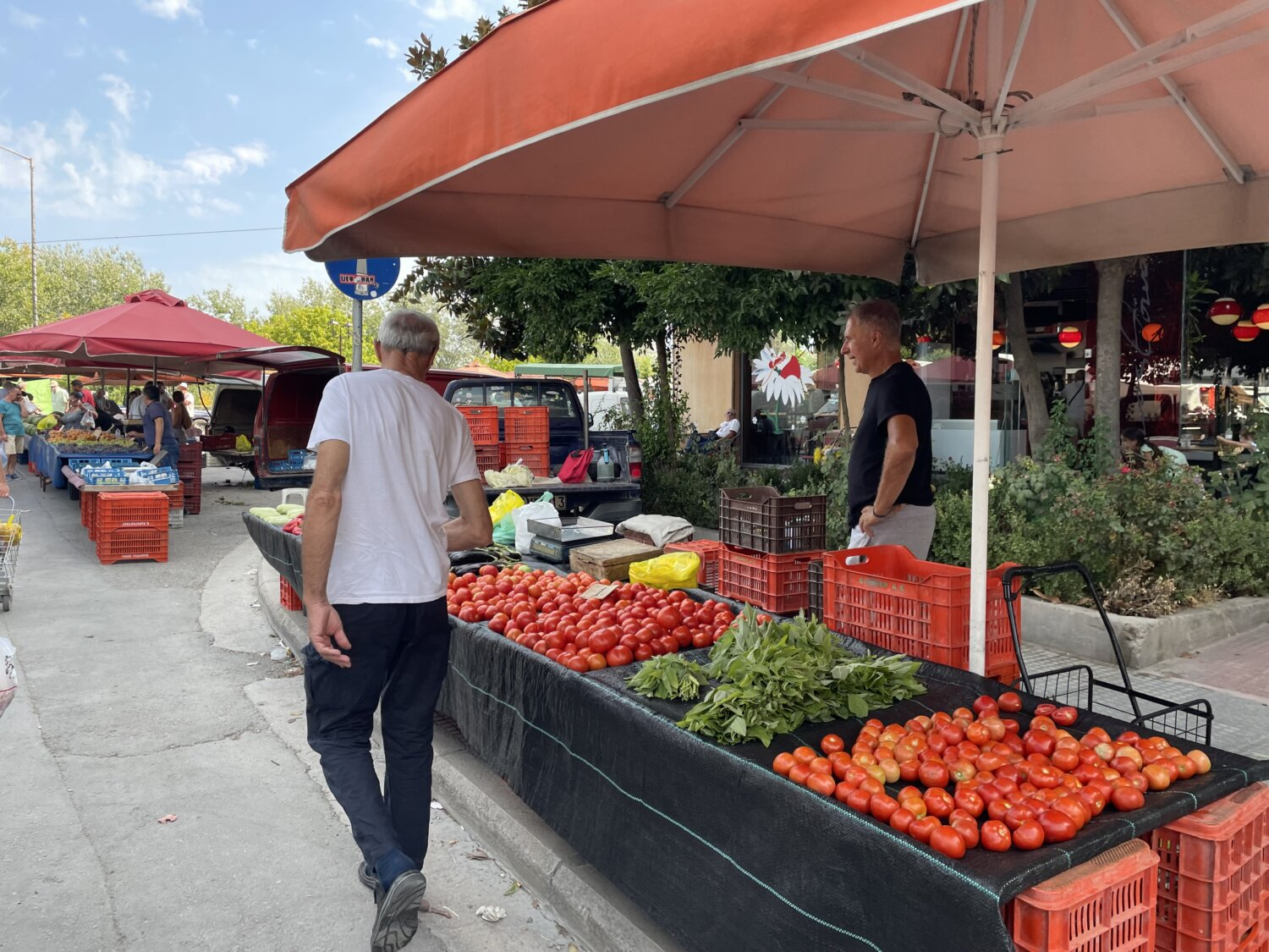 4€ στο χωράφι, 22€ στο σούπερ μάρκετ: Το φρούτο που κάποτε αγόραζαν όλοι, έγινε πλέον είδος πολυτελείας στην Ελλάδα