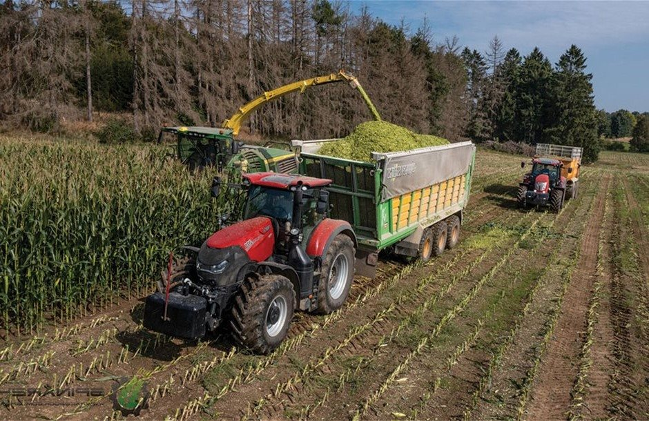 Ξεκίνησαν οι κοπές στα ενσιρώματα καλαμποκιού, που κυμαίνονται οι τιμές