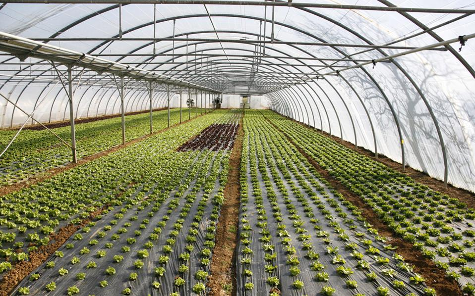 Παρατείνεται η προθεσμία υποβολής αιτήσεων για θερμοκήπια και στέγαστρα φυτικής παραγωγής – Νέα καταληκτική ημερομηνία: 8 Οκτωβρίου 2025