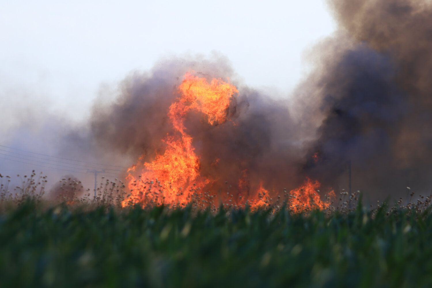 Πολύ υψηλός κίνδυνος πυρκαγιάς την Τρίτη σε πέντε περιφέρειες – Ο χάρτης της Πολιτικής Προστασίας