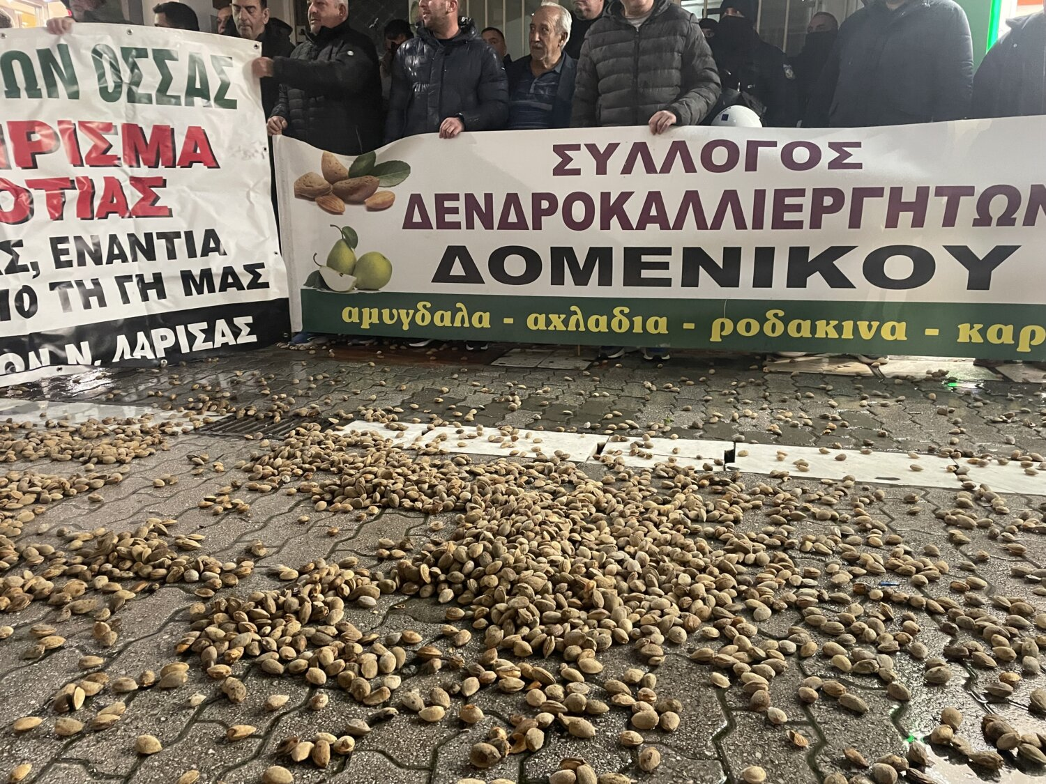 Πανλαρισαϊκό αγροτικό συλλαλητήριο στο Συκούριο για την επιβίωση του αμυγδάλου