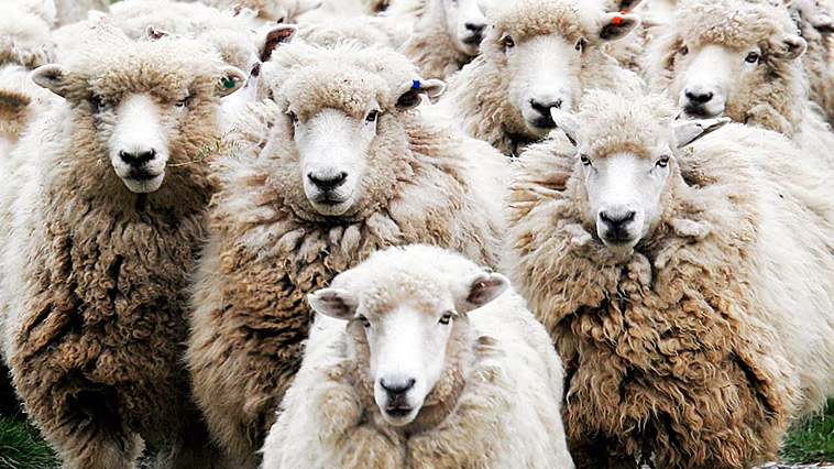 Σύσκεψη του Αγροκτηνοτροφικού Συλλόγου ΔΕ Ολύμπου