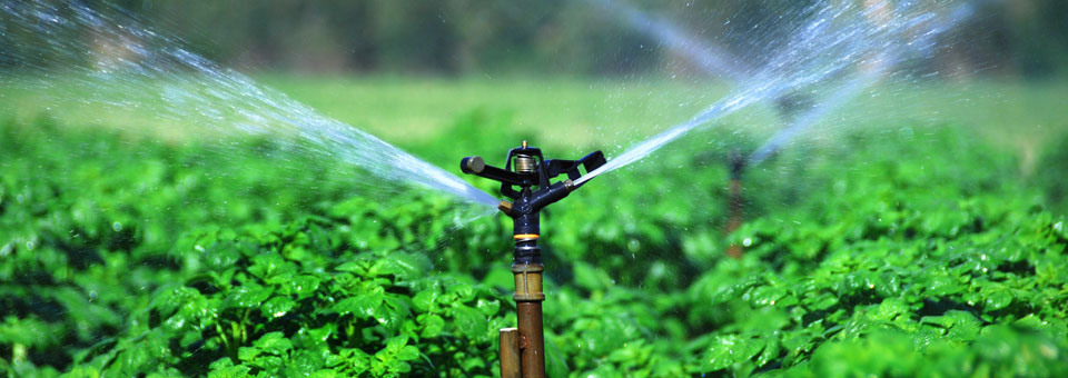 Αγροτικοί Συνεταιρισμοί Λάρισας: Αίτημα αποζημίωσης καλλιεργειών που επλήγησαν από τη λειψυδρία