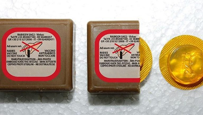 Έναρξη της 21ης Εμβολιαστικής Εκστρατείας των Αλεπούδων για το Πρόγραμμα Επιτήρησης και Καταπολέμησης της Λύσσας