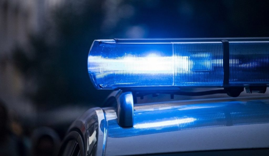 Στη φυλακή ο ιδιοκτήτης σκύλων που κατασπάραξαν 50χρονη στη Θεσσαλονίκη