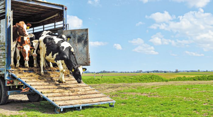 ΠΕ Τρικάλων: Υποχρεωτικό το Εκπαιδευτικό Σεμινάριο προσωπικού μεταφορέων ζώντων ζώων