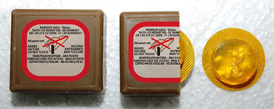 Έναρξη της 22ης Εμβολιαστικής Εκστρατείας των Κόκκινων Αλεπούδων, για το Πρόγραμμα Επιτήρησης και Καταπολέμησης της Λύσσας