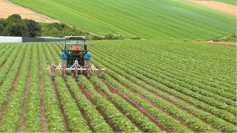 ΑΑΔΕ: Πληρωμές 19,8 εκατ. ευρώ σε 57.000 αγρότες